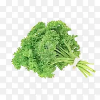 �ɹ���ƷҶ�߲� ֲ�� �߲�-������