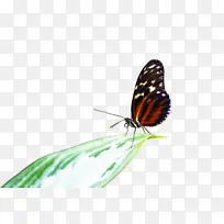 ·É¶êºÍºûµû ºûµû À¥³æ-¿ÕÈôÍø ·É¶êºÍºûµû ºûµû À¥³æ-¿ÕÈôÍø