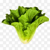 叶类蔬菜 蔬菜 生菜-空若网 叶类蔬菜 蔬菜 生菜-空若网