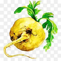 �ɹ���ƷʳƷ ���߲� ֲ��-������