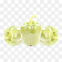 »ÆÉ« Ö²Îï Êß²Ë-¿ÕÈôÍø »ÆÉ« Ö²Îï Êß²Ë-¿ÕÈôÍø