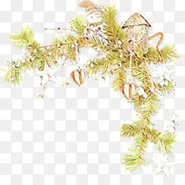 树 植物 树枝-空若网 树 植物 树枝-空若网