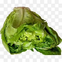 Ò¶²Ë Êß²Ë ±ù±¤Ý«ÜÄ-¿ÕÈôÍø Ò¶²Ë Êß²Ë ±ù±¤Ý«ÜÄ-¿ÕÈôÍø