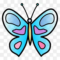 蝴蝶 飞蛾和蝴蝶 昆虫-空若网 蝴蝶 飞蛾和蝴蝶 昆虫-空若网