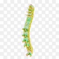 ë³æ Ó׳æ À¥³æ-¿ÕÈôÍø ë³æ Ó׳æ À¥³æ-¿ÕÈôÍø