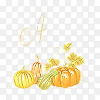 黄色 橙色 南瓜-空若网 黄色 橙色 南瓜-空若网