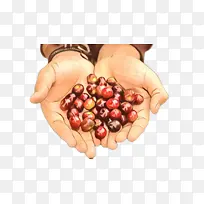 天然食品 手 水果-空若网 天然食品 手 水果-空若网