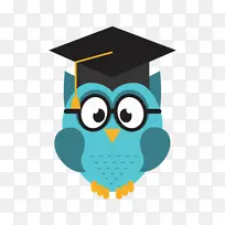 猫头鹰 绿松石 灰泥-空若网 猫头鹰 绿松石 灰泥-空若网