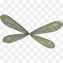 À¥³æ Ò¶×Ó ³á°ò-¿ÕÈôÍø À¥³æ Ò¶×Ó ³á°ò-¿ÕÈôÍø