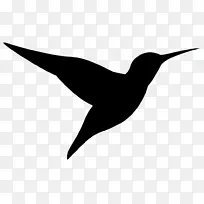 ���� �� �-������