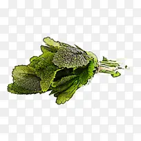 植物 蔬菜 叶-空若网 植物 蔬菜 叶-空若网