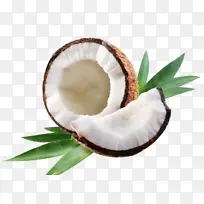 椰子 植物 食物-空若网 椰子 植物 食物-空若网