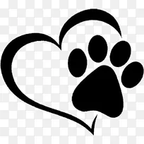 צ�� ���� ͷ-������