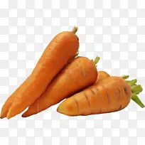 胡萝卜 食品 根类蔬菜-空若网 胡萝卜 食品 根类蔬菜-空若网