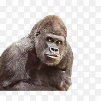 �����͵ش����� ͷ ����-������