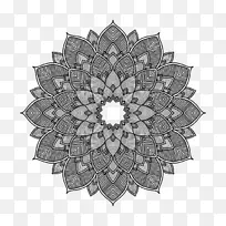 对称 花 植物-空若网 对称 花 植物-空若网