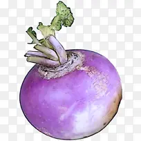 萝卜 芦笋 蔬菜-空若网 萝卜 芦笋 蔬菜-空若网