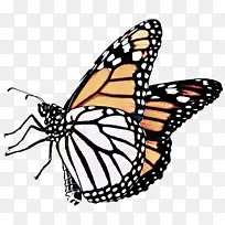 ·É¶êºÍºûµû ºûµû µÛÍõºûµû-¿ÕÈôÍø ·É¶êºÍºûµû ºûµû µÛÍõºûµû-¿ÕÈôÍø