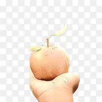 植物 水果 食品-空若网 植物 水果 食品-空若网