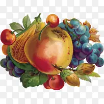 天然食品 水果 葡萄-空若网 天然食品 水果 葡萄-空若网