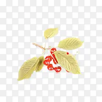 叶子 树 植物-空若网 叶子 树 植物-空若网