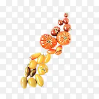 ��ɫ �鱦 ����-������