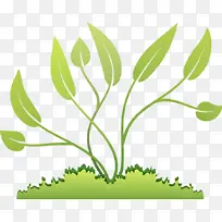 叶 植物 绿色-空若网 叶 植物 绿色-空若网