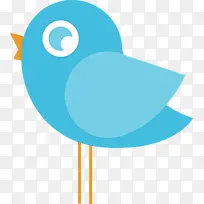 绿松石 水 鸟-空若网 绿松石 水 鸟-空若网