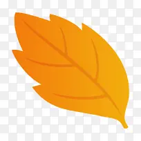 叶子 橙色 黄色-空若网 叶子 橙色 黄色-空若网