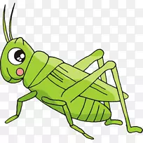 卡通灌木丛蟋蟀创造手绘蝗虫-空若网 卡通灌木丛蟋蟀创造手绘蝗虫-空若网