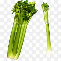 采购产品蔬菜 芹菜 食品-空若网 采购产品蔬菜 芹菜 食品-空若网