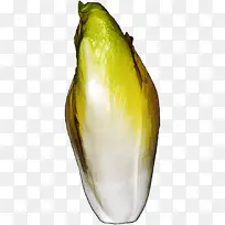 ��ɫ ֲ�� �߲�-������