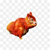 天然食品 食品 纯素营养-空若网 天然食品 食品 纯素营养-空若网