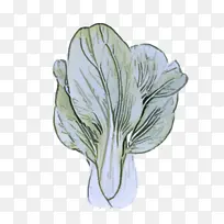 花卉 植物 花瓣-空若网 花卉 植物 花瓣-空若网