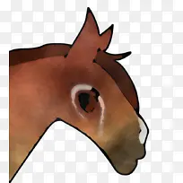 脸 鼻子 马-空若网 脸 鼻子 马-空若网