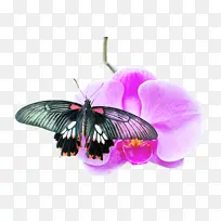 ���� ���� �ɶ�ͺ���-������