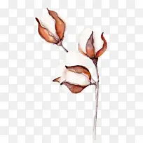 植物 树枝 花-空若网 植物 树枝 花-空若网