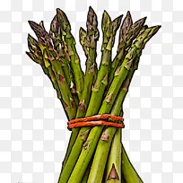 芦笋 蔬菜 植物-空若网 芦笋 蔬菜 植物-空若网