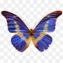 ·É¶êºÍºûµû ºûµû À¥³æ-¿ÕÈôÍø ·É¶êºÍºûµû ºûµû À¥³æ-¿ÕÈôÍø