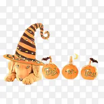 橙色 头饰 帽子-空若网 橙色 头饰 帽子-空若网