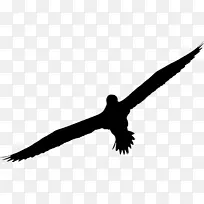 Äñ ๠³á°ò-¿ÕÈôÍø Äñ ๠³á°ò-¿ÕÈôÍø