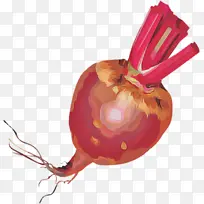 ����� �߲� ʳƷ-������