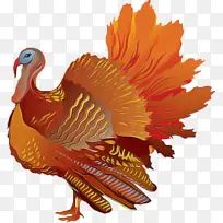 �� �� ���-������