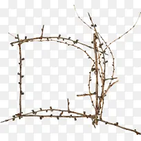 树枝 植物 树-空若网 树枝 植物 树-空若网
