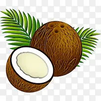 椰子 椰子树 棕榈树-空若网 椰子 椰子树 棕榈树-空若网