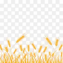 草科 草 植物-空若网 草科 草 植物-空若网