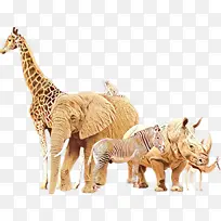 动物形象 野生动物 雕像-空若网 动物形象 野生动物 雕像-空若网