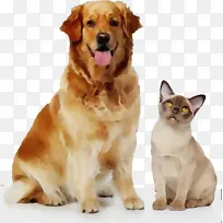 水彩画 油漆 湿墨水-空若网 水彩画 油漆 湿墨水-空若网