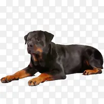 Ë®²Ê» ÓÍÆá ʪīˮ-¿ÕÈôÍø Ë®²Ê» ÓÍÆá ʪīˮ-¿ÕÈôÍø