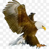 水彩画 颜料 湿墨-空若网 水彩画 颜料 湿墨-空若网